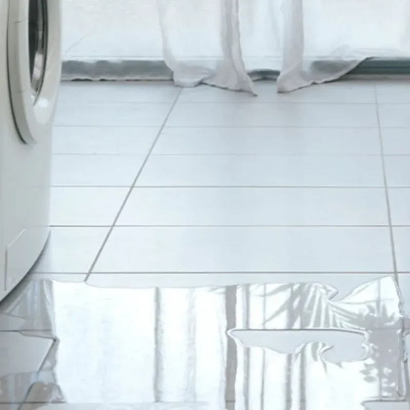 Appliance Leak Cleanup in Kingston, NJ