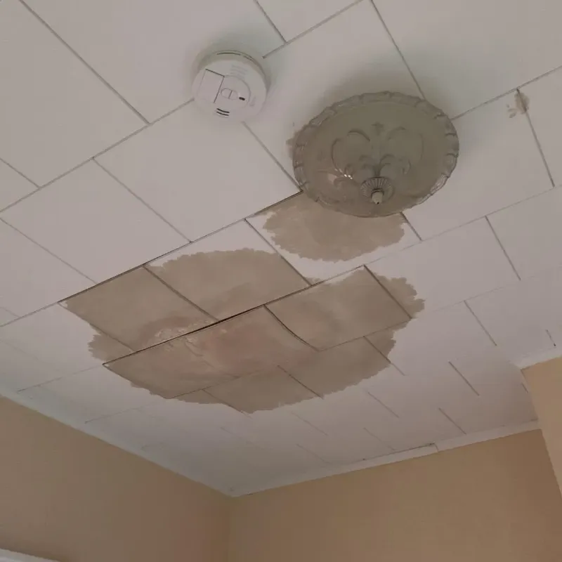 Ceiling Water Damage Repair in Kingston, NJ