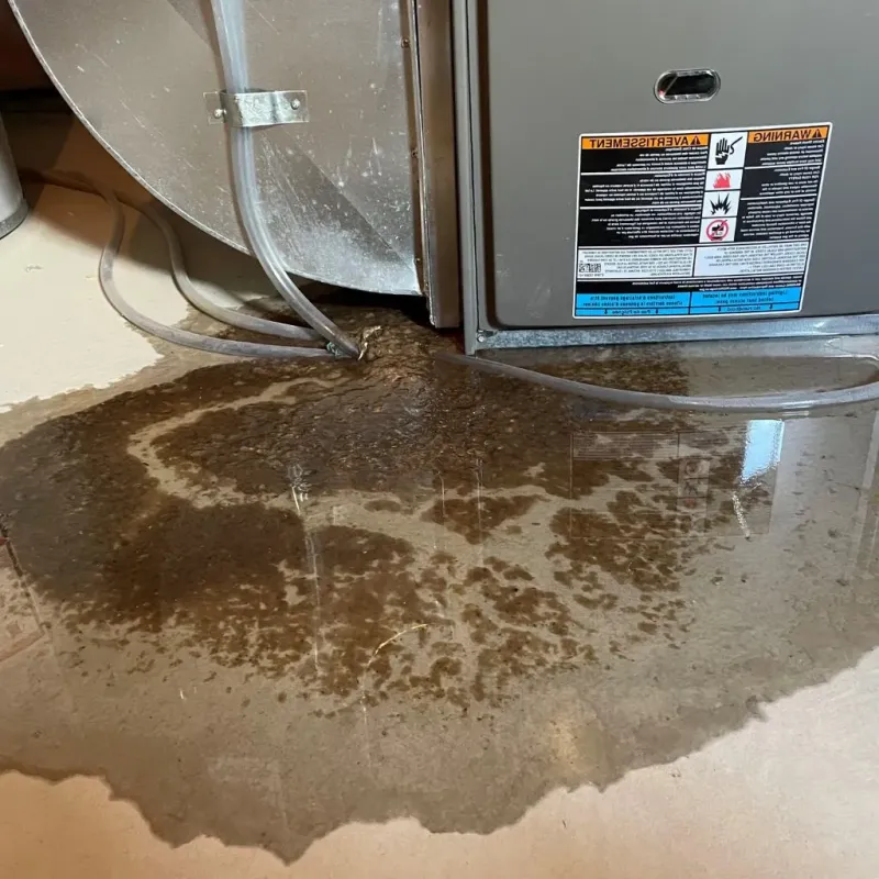 Pipe Burst and Leak Restoration in Kingston, NJ
