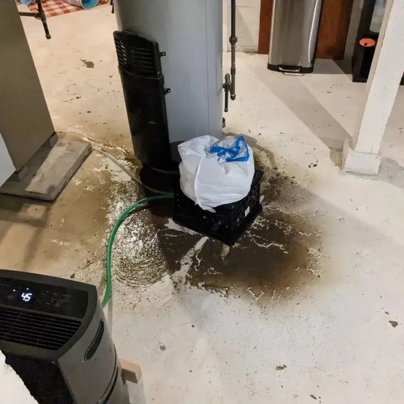 Sewage Backup Cleanup Service in Kingston, NJ